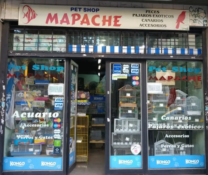 local pet shop mapache